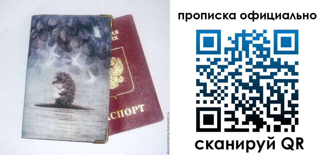прописка в квартире в Будённовске